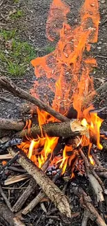 Orange campfire flames against rustic logs in a natural setting.