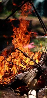 Vibrant campfire glowing in the dark forest scene.