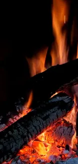 Campfire with glowing orange flames and charred logs.