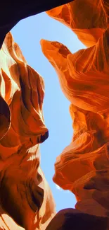 Stunning view of a vibrant canyon with a blue sky overhead.