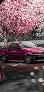 Pink car under cherry blossoms in scenic spring setting.