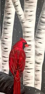 Red cardinal perched on birch trees in winter setting.