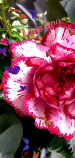 Red and white carnation with butterflies and 'Love you' text.