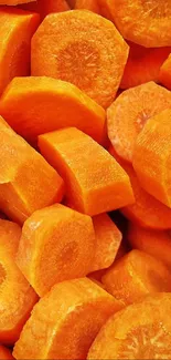 Bright orange carrot slices wallpaper for mobile devices.