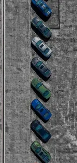 Lineup of colorful cars on gray asphalt.