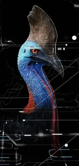 Majestic cassowary bird on black background in vivid colors.