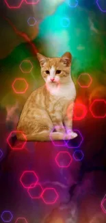 Colorful cat with hexagon pattern wallpaper