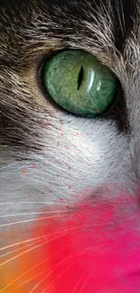 Close-up of a cat's eye with vibrant colors.