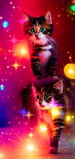 Two playful kittens with vibrant colorful lights.