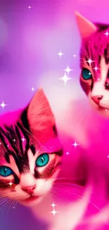 Vibrant pink wallpaper with teal-eyed cats.