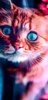 Colorful cat with bright blue eyes in close-up view.