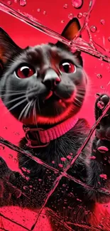 A playful cat with a red background and glass effect.