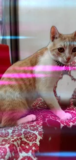 A playful cat with neon streaks on a red patterned background.