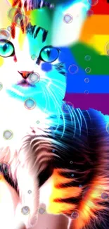 Colorful cat with rainbow background and bubbles.