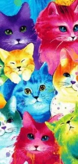 Colorful and vibrant cat-themed mobile wallpaper with artistic designs.