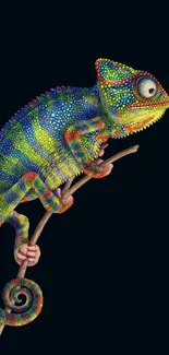 A colorful chameleon perched on a twig against a black backdrop.