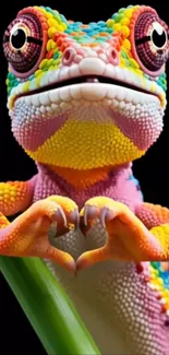 Chameleon with a colorful body forming a heart shape on black background.
