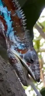 Vibrantly colored chameleon on tree branch with green foliage.