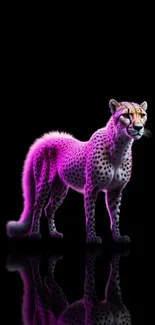 Neon art cheetah on black background with vibrant purple hues.