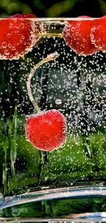 Cherries submerged in sparkling water with vibrant bubbles.