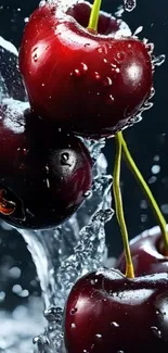 Juicy cherries splashing in water with a dark backdrop.