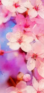 Vibrant pink cherry blossoms on a colorful background.