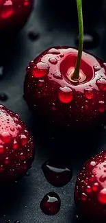 Close-up of water-dropped red cherries on dark background.