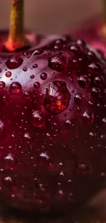 Close-up of cherries with water droplets on a textured background.