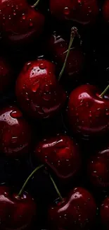 Close-up of vibrant red cherries wallpaper.