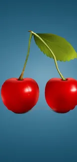 Vibrant red cherries on a blue background wallpaper.