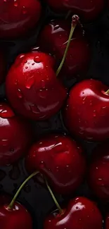 Vibrant red cherries with water droplets on a black background.