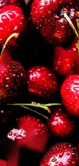 Vibrant close-up of red cherries with fresh droplets on a dark background.