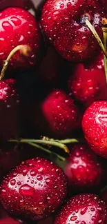 Close-up view of fresh, water-dappled cherries.