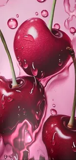 Vibrant cherries with water droplets on pink background wallpaper.