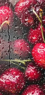 Vibrant cherries with water droplets as a phone wallpaper.