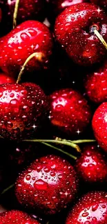 Vibrant cherries with water droplets close-up wallpaper.