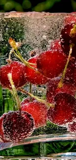 Red cherries in sparkling water with bubbles in a glass container.