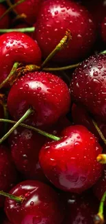 Red cherries in a black bowl on a dark background wallpaper.