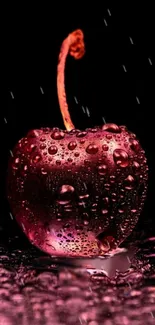 Vibrant cherry with water droplets on a dark background.