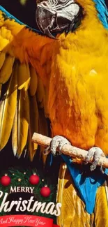 Vibrant yellow and blue parrot with Merry Christmas text.