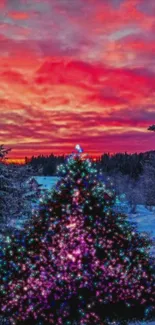 Festive Christmas tree with colorful lights against a vibrant sunset sky.