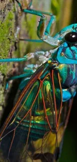 Brightly colored cicada perched on tree trunk, vivid and detailed shot.