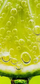 Lime slice with bubbles mobile wallpaper, vibrant and fresh.