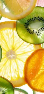 Colorful citrus and kiwi fruit slices wallpaper.