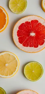 Vibrant citrus fruit slices on a white background.