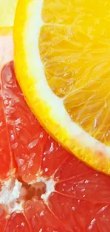 Colorful citrus slices mobile wallpaper with orange, lemon, and grapefruit.