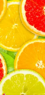 Colorful citrus fruit slices including grapefruit, lemon, and lime on a vibrant background.