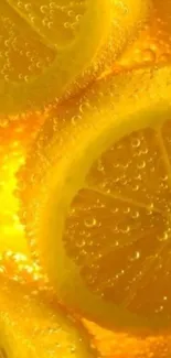 Close-up of sunlit lemon slices in bubbly liquid.