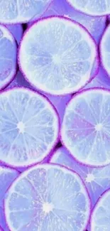 Purple citrus slices wallpaper with a vibrant and fresh lemon design.