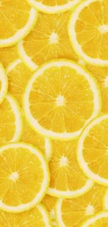 Vibrant yellow citrus fruit slices arranged creatively as wallpaper.